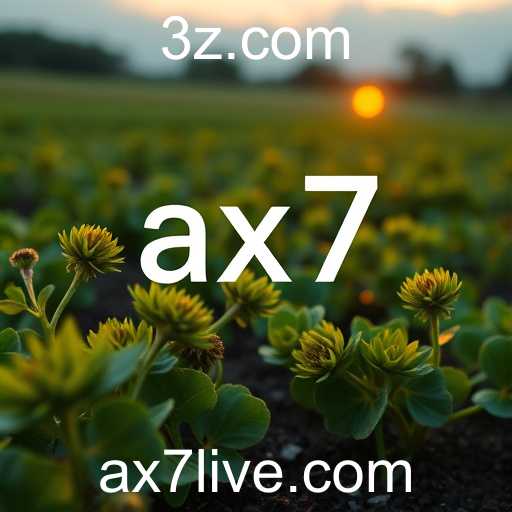 Central de Notícias